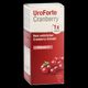 BIOGELAT CRANBERRY UroForte-Liquidum - 120 Milliliter